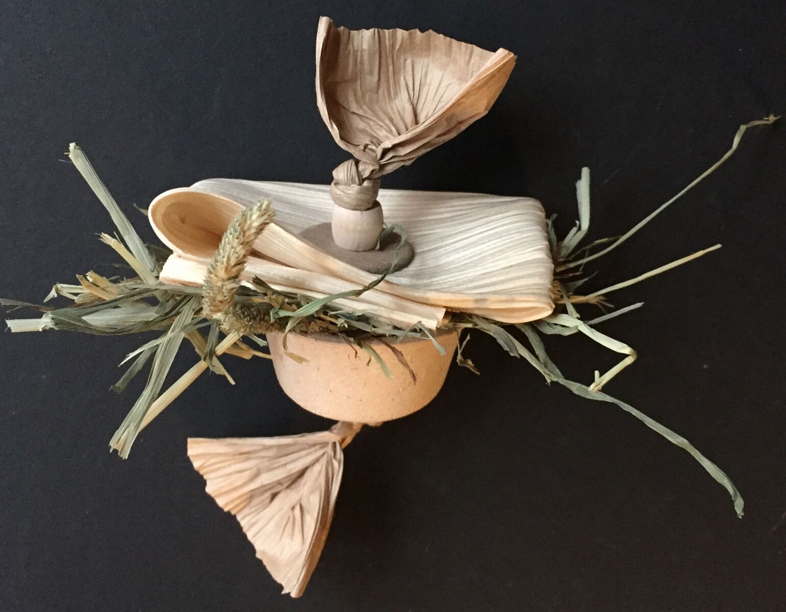 Product Spotlight: 5 Bird Products to Know About